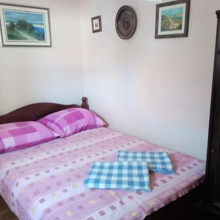Apartment "Mislav" กอร์นยิ คาริน ภายนอก รูปภาพ